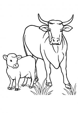 37 Cute Cows Coloring Pages Printable 16