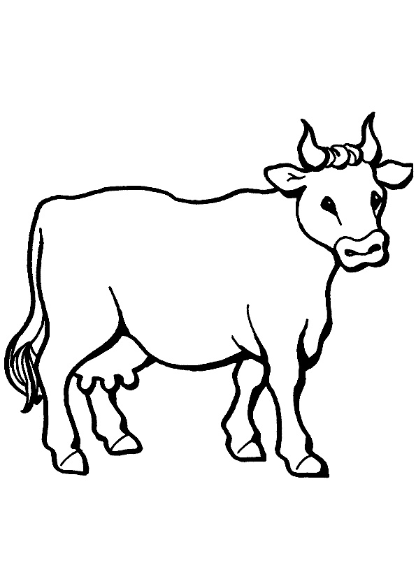 cute cows coloring pages printable jpg