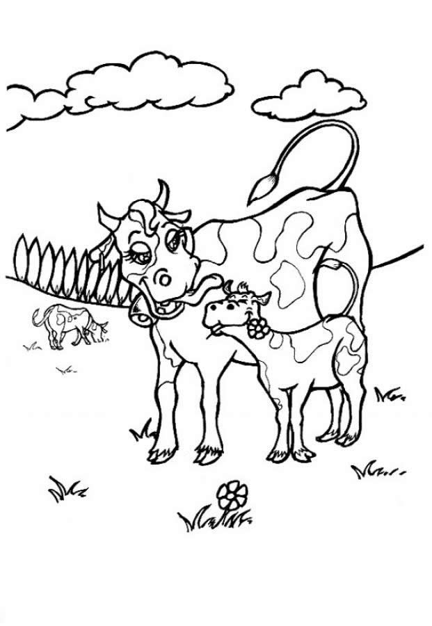 37 Cute Cows Coloring Pages Printable 28