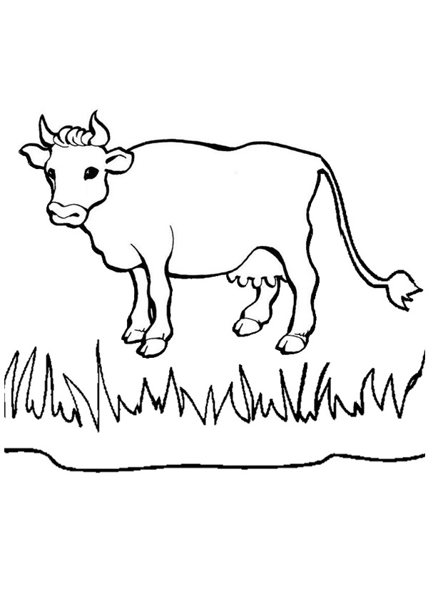 37 Cute Cows Coloring Pages Printable 29