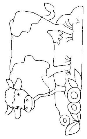 37 Cute Cows Coloring Pages Printable 4