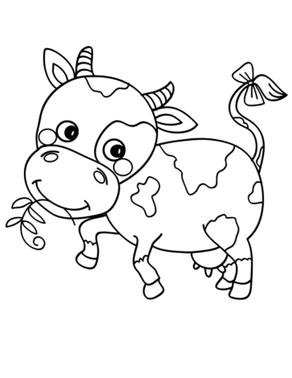 37 Cute Cows Coloring Pages Printable 6