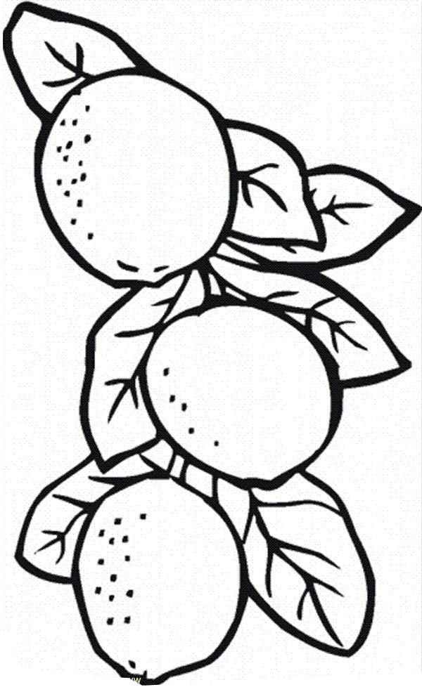 37 Sweet Lemon Coloring Pages Printable 13