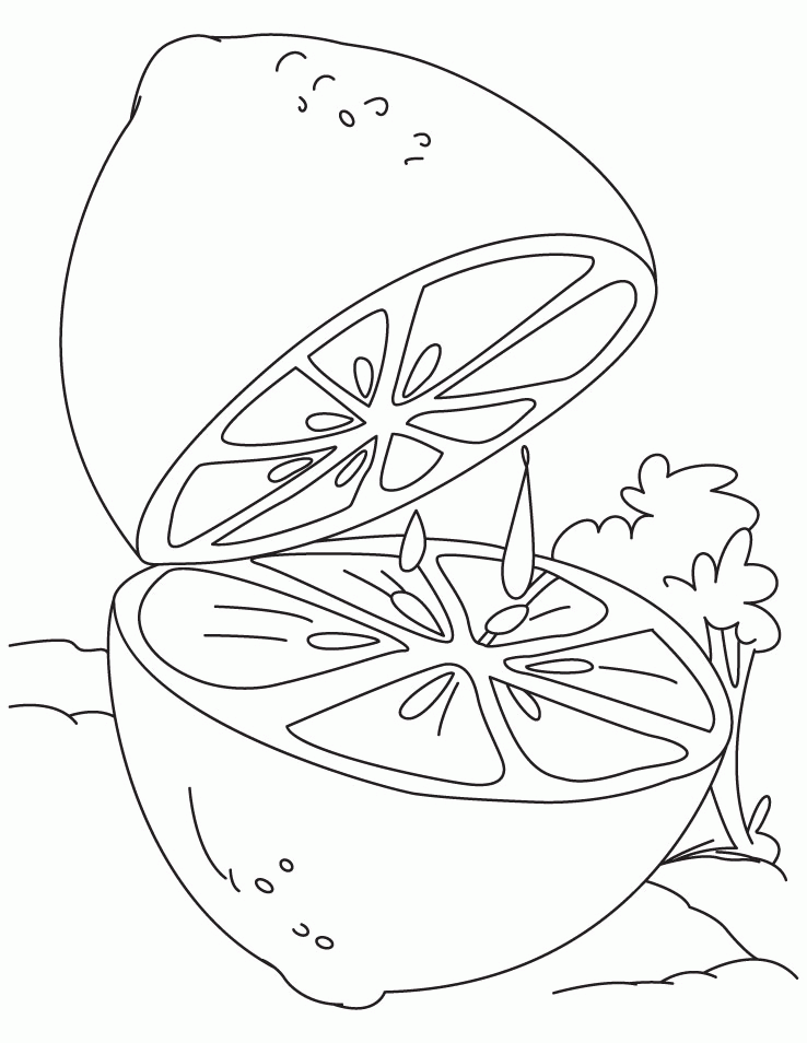 37 Sweet Lemon Coloring Pages Printable 27