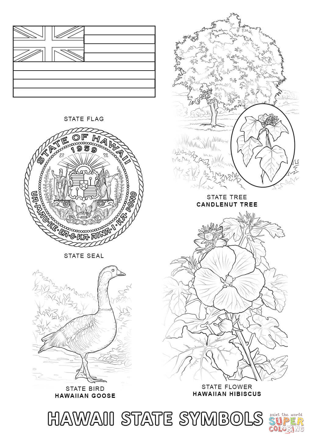 37 Tropical Hawaiian Themed Coloring Pages Printable 18