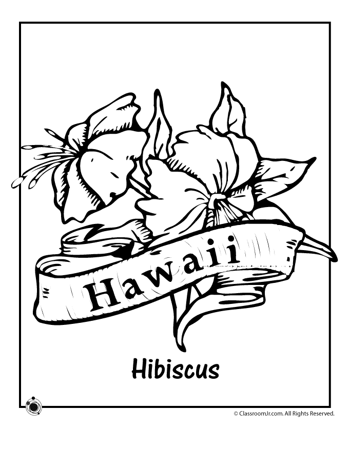 37 Tropical Hawaiian Themed Coloring Pages Printable 2