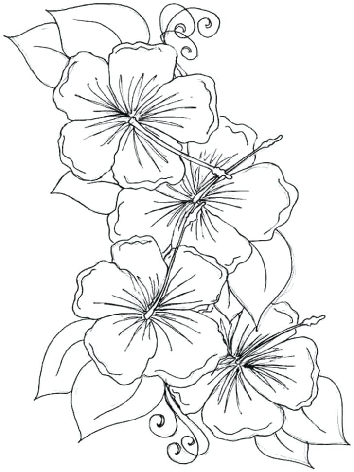 37 Tropical Hawaiian Themed Coloring Pages Printable 20