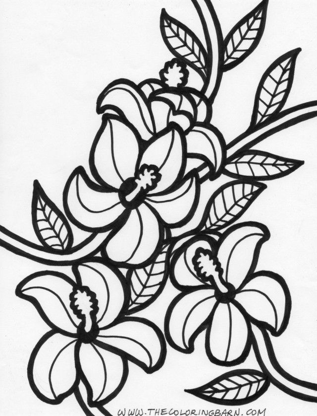 37 Tropical Hawaiian Themed Coloring Pages Printable 5