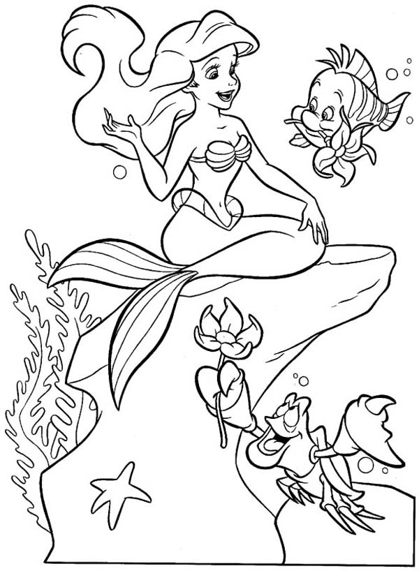 38 Cute Ariel The Little Mermaid Pictures Coloring Pages Printable 8