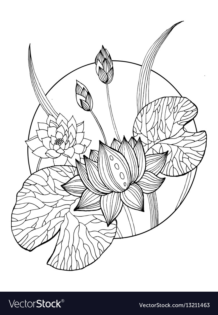 38 Serene Lotus Coloring Pages Printable 1