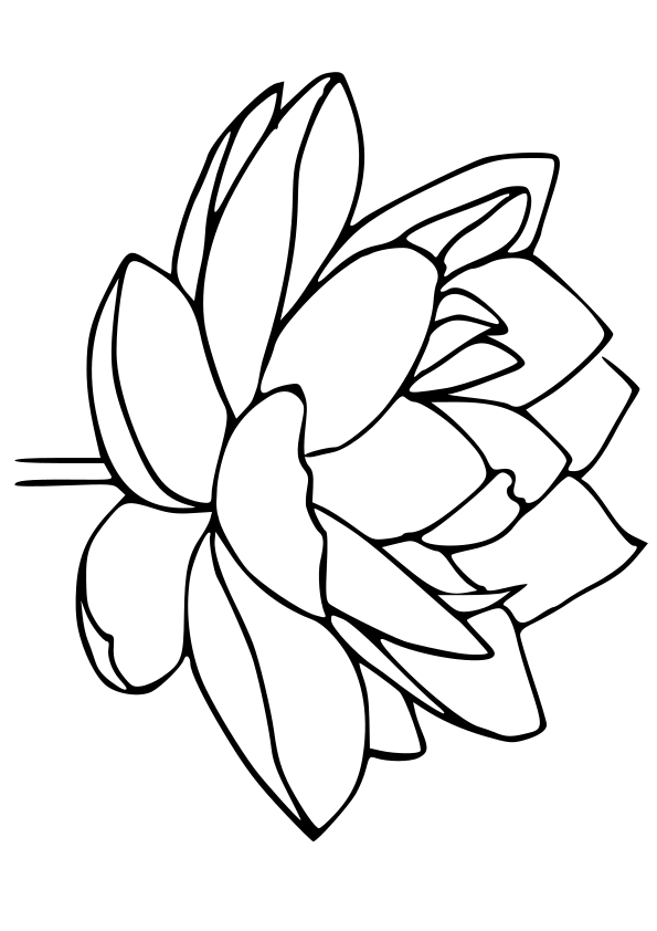 38 Serene Lotus Coloring Pages Printable 12