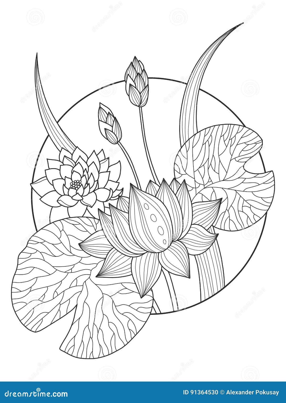 38 Serene Lotus Coloring Pages Printable 13