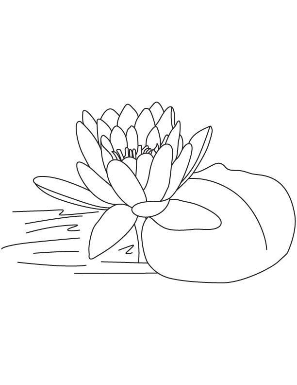 38 Serene Lotus Coloring Pages Printable 16