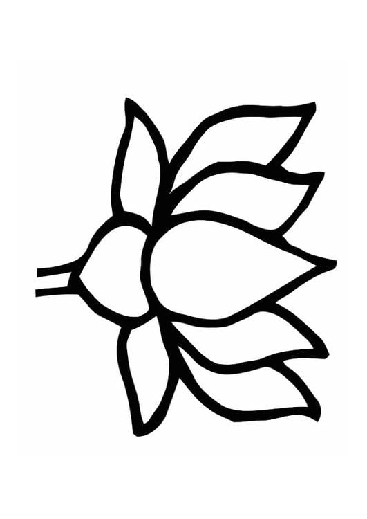 serene lotus coloring pages printable jpg