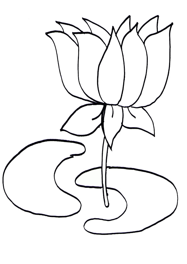 38 Serene Lotus Coloring Pages Printable 26