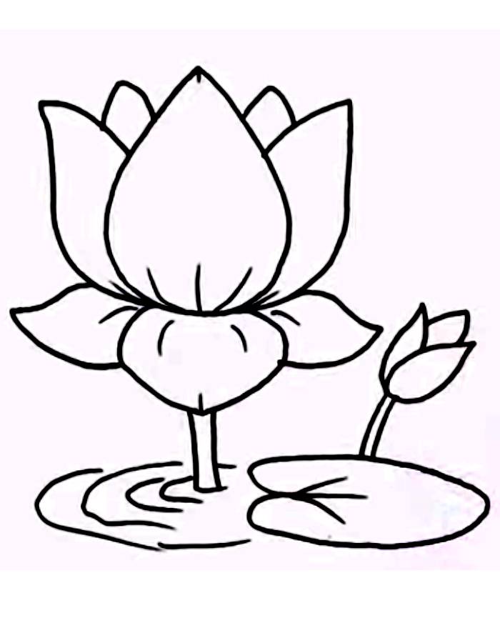 38 Serene Lotus Coloring Pages Printable 35