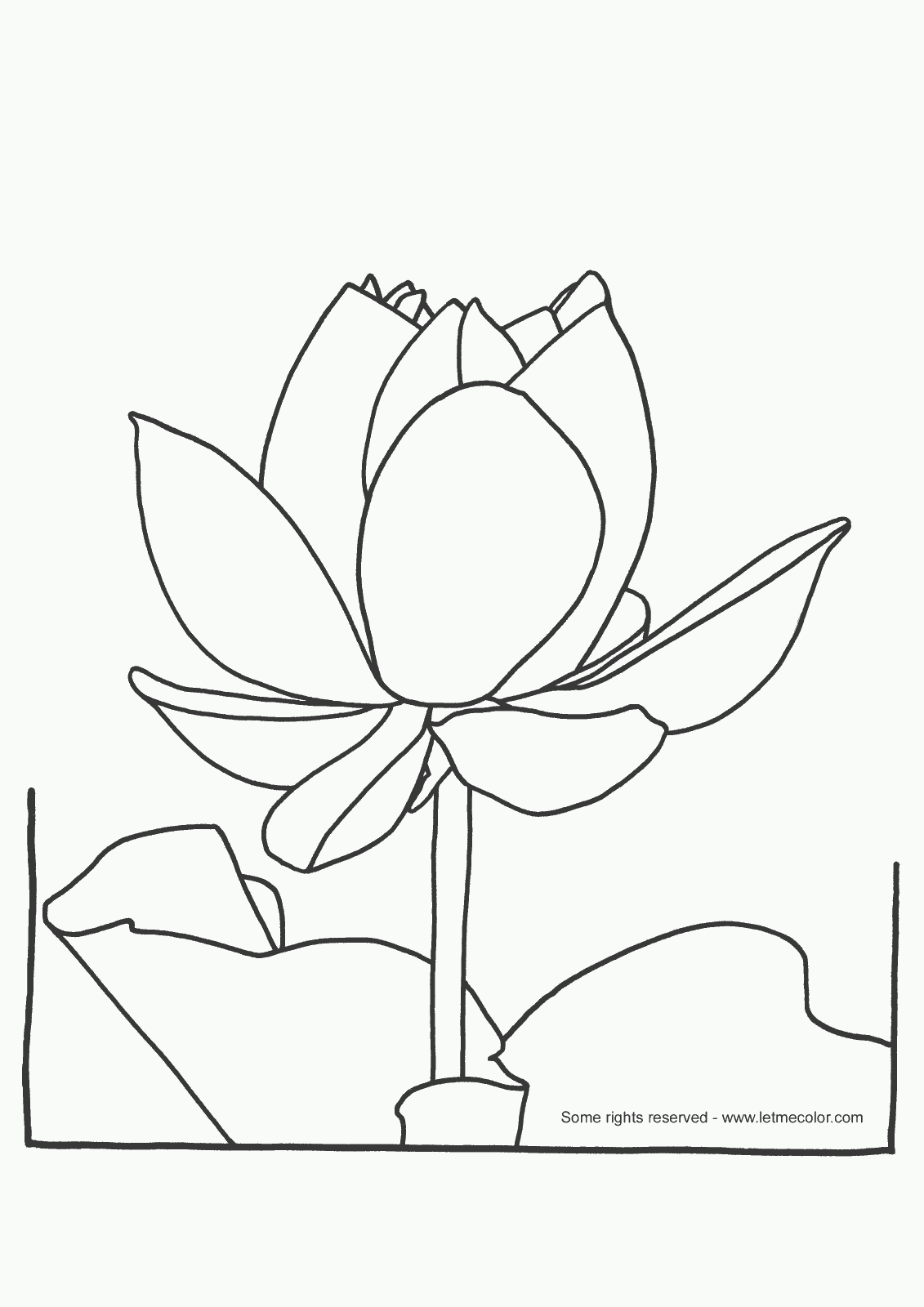 38 Serene Lotus Coloring Pages Printable 4