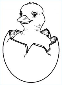 39 Cute Baby Chicks Coloring Pages Printable 12