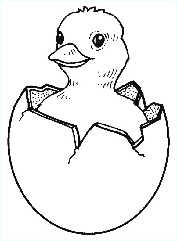 39 Cute Baby Chicks Coloring Pages Printable 13