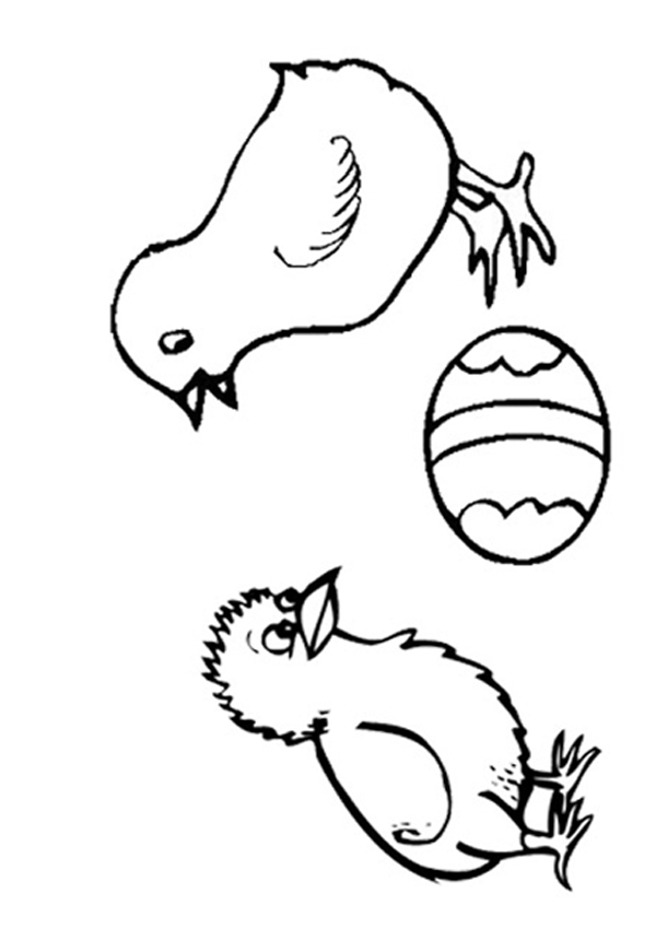 39 Cute Baby Chicks Coloring Pages Printable 23