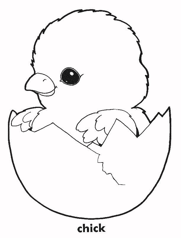 39 Cute Baby Chicks Coloring Pages Printable 33