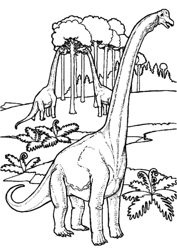 39 Mighty Diplodocus Coloring Pages Printable 25