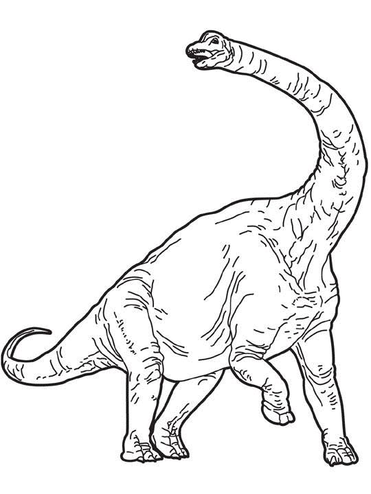 39 Mighty Diplodocus Coloring Pages Printable 3