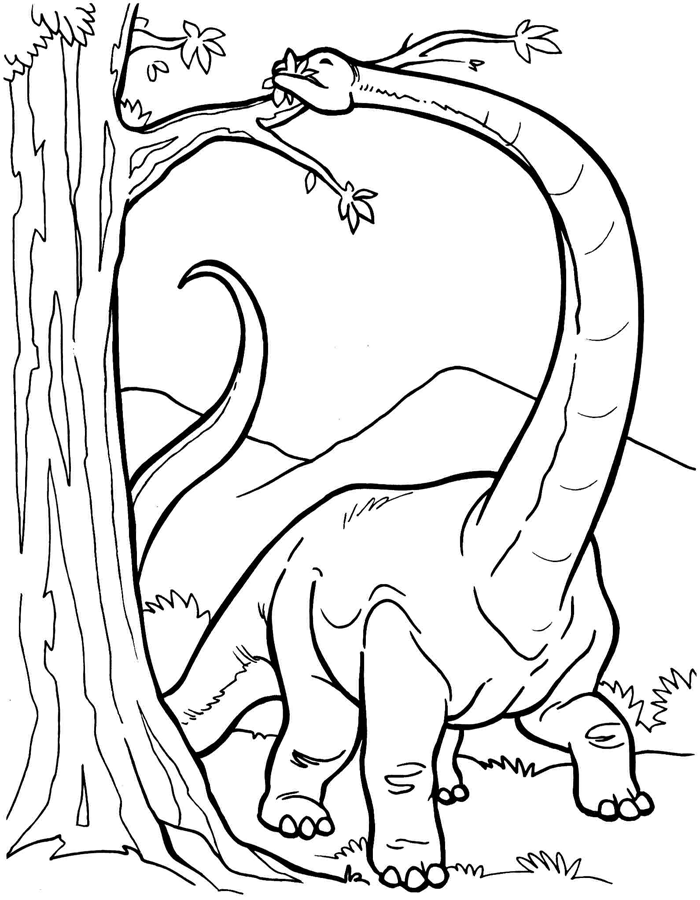 39 Mighty Diplodocus Coloring Pages Printable 7