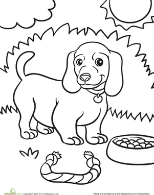 93 Dachshund Dog Coloring Page Printable 11