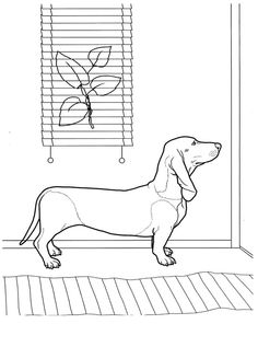 93 Dachshund Dog Coloring Page Printable 14