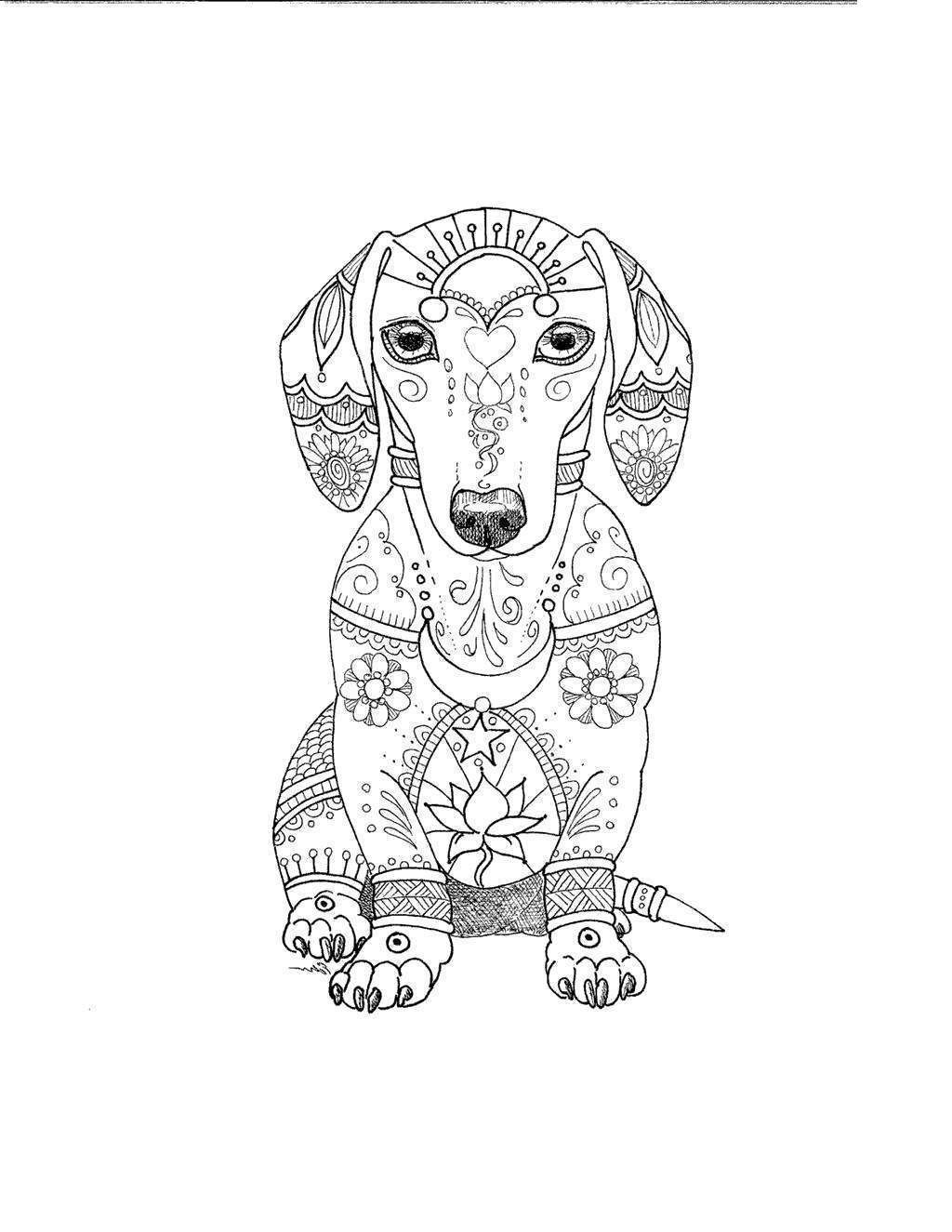 93 Dachshund Dog Coloring Page Printable 2