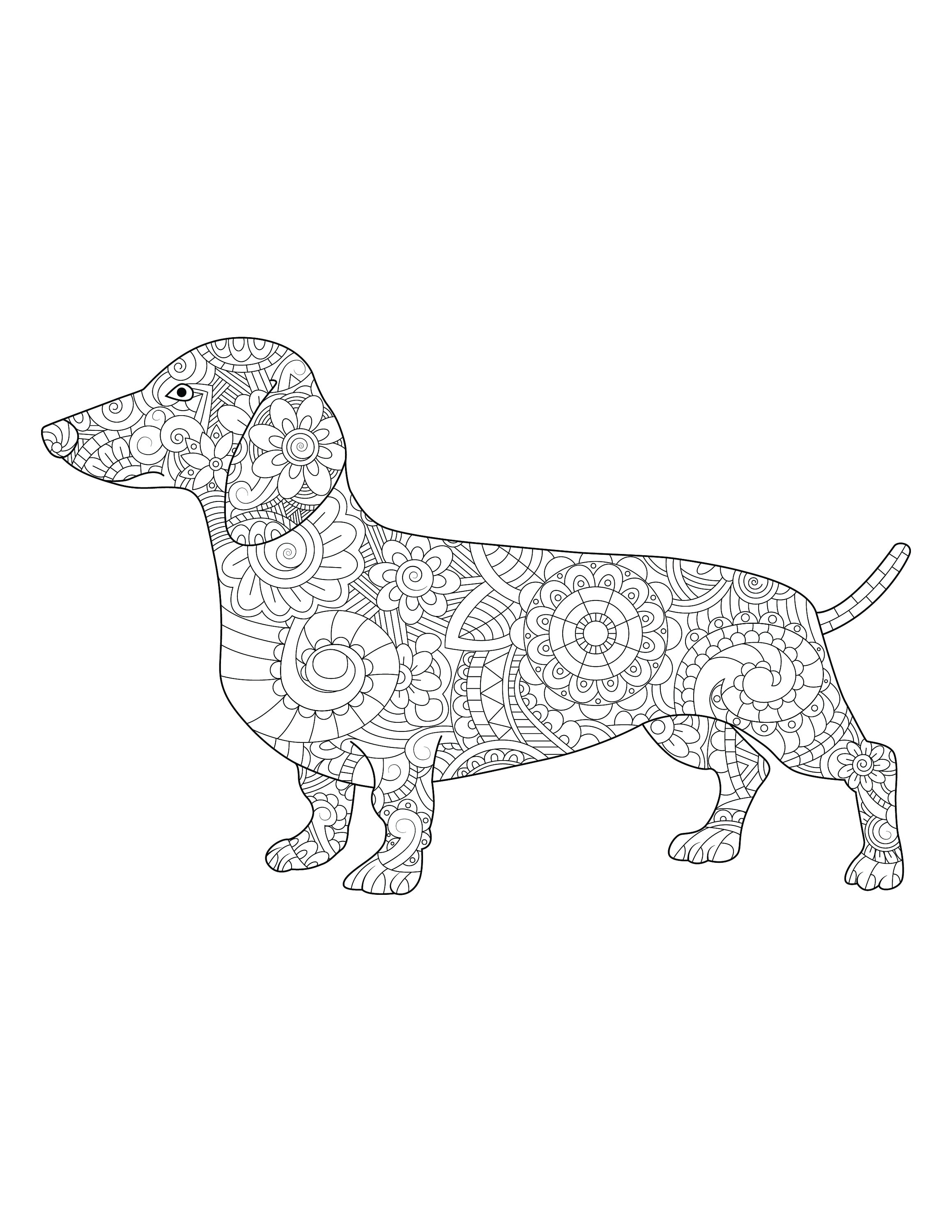 93 Dachshund Dog Coloring Page Printable 25