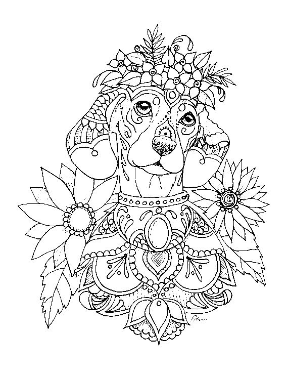 93 Dachshund Dog Coloring Page Printable 33