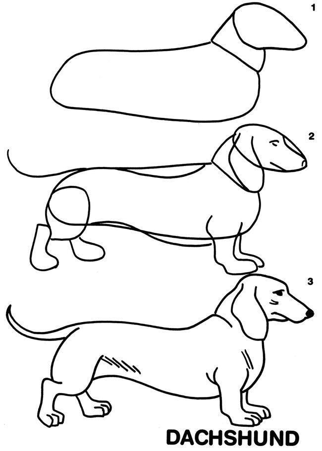 93 Dachshund Dog Coloring Page Printable 37