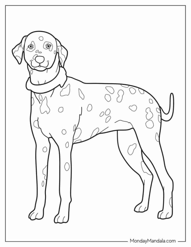 93 Dachshund Dog Coloring Page Printable 45