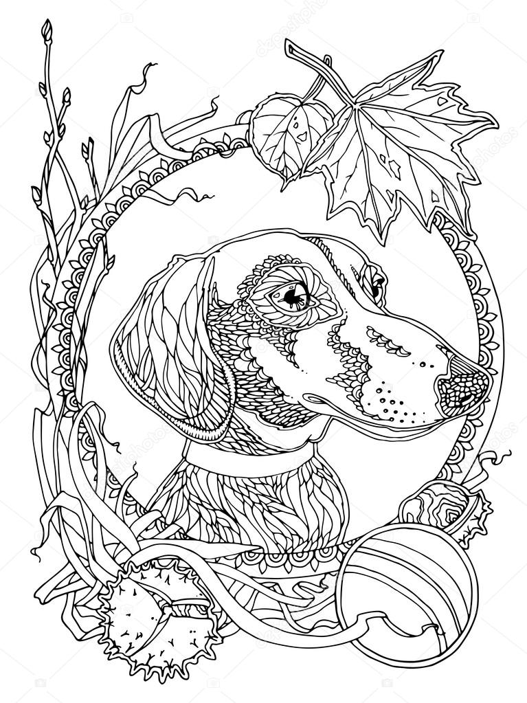 93 Dachshund Dog Coloring Page Printable 54