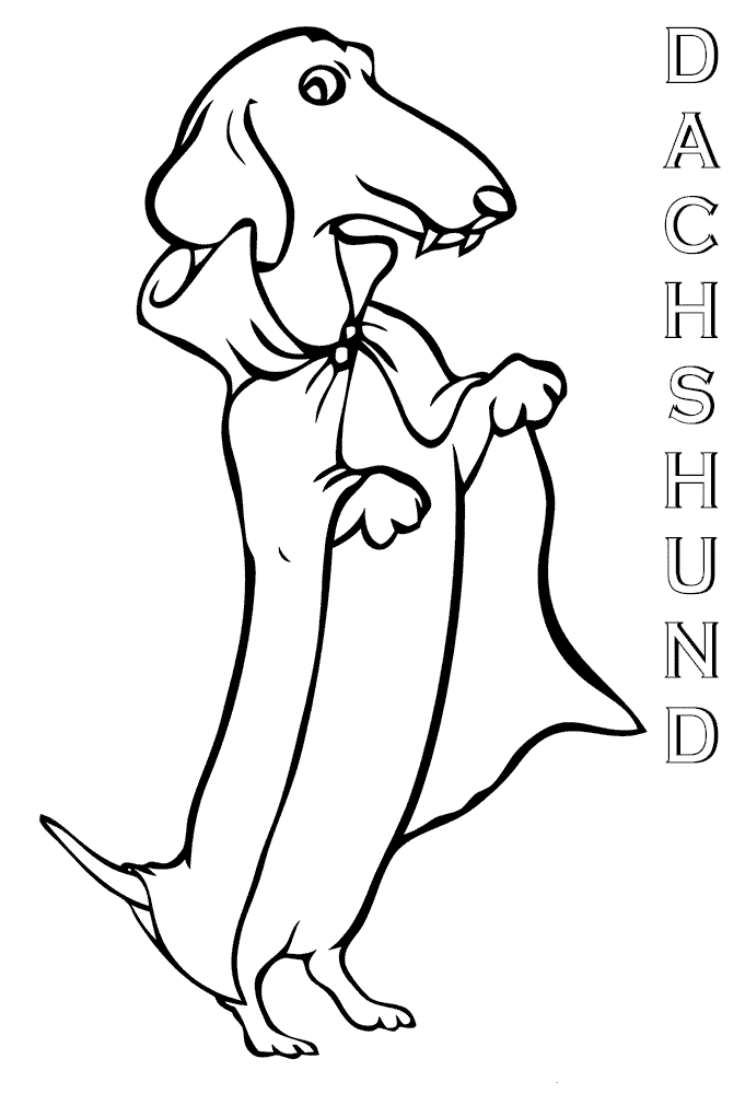 93 Dachshund Dog Coloring Page Printable 6