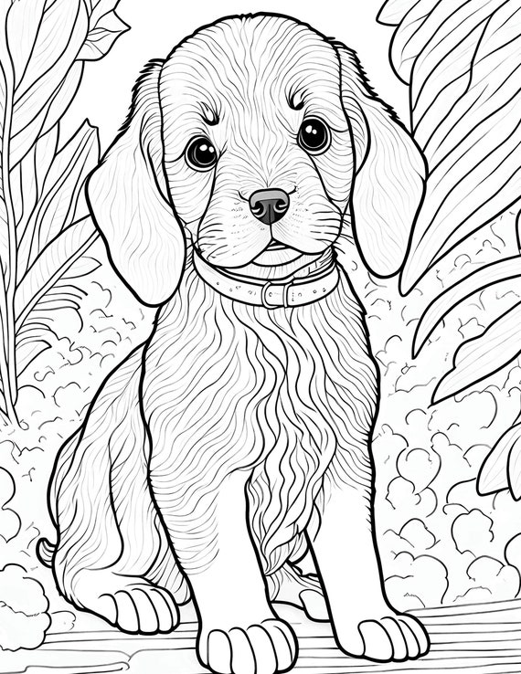 93 Dachshund Dog Coloring Page Printable 70