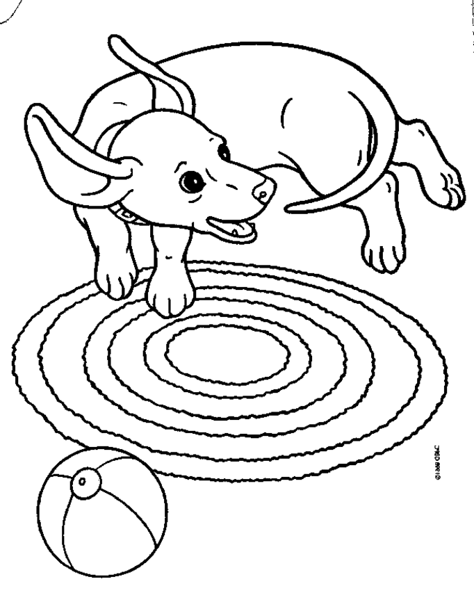 93 Dachshund Dog Coloring Page Printable 72