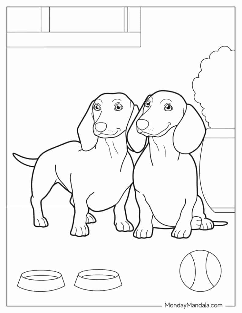 93 Dachshund Dog Coloring Page Printable 75