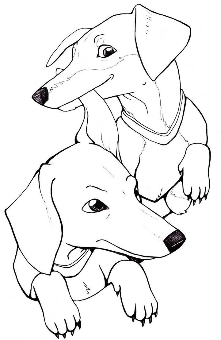 93 Dachshund Dog Coloring Page Printable 76