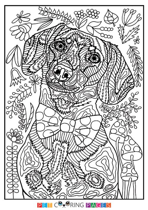 93 Dachshund Dog Coloring Page Printable 77