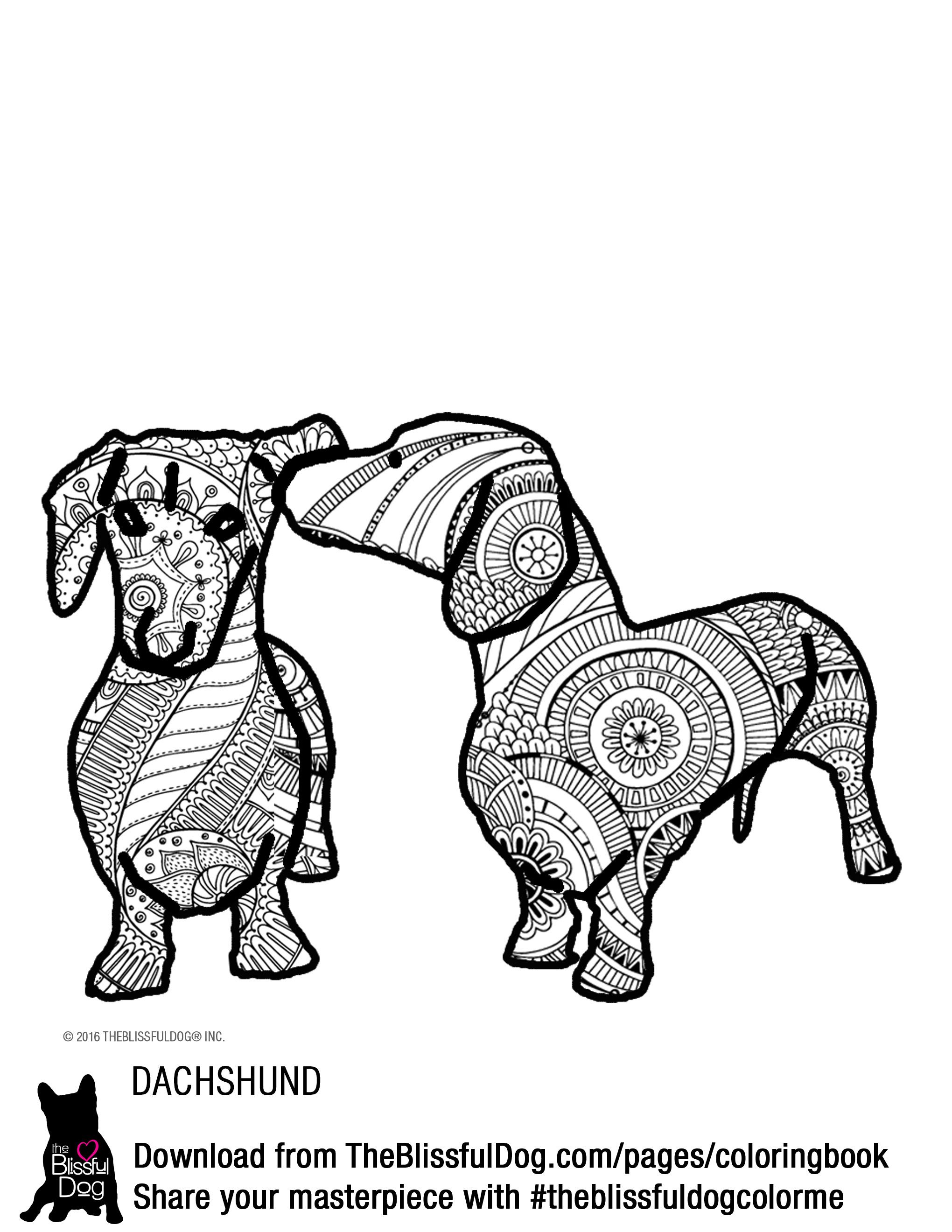 93 Dachshund Dog Coloring Page Printable 78