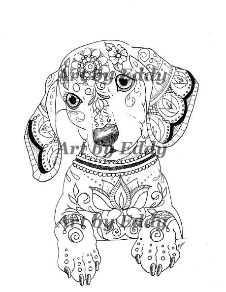 93 Dachshund Dog Coloring Page Printable 79