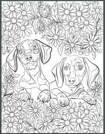 93 Dachshund Dog Coloring Page Printable 80