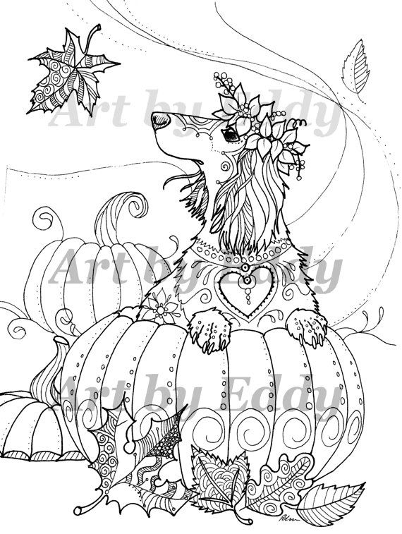 93 Dachshund Dog Coloring Page Printable 81