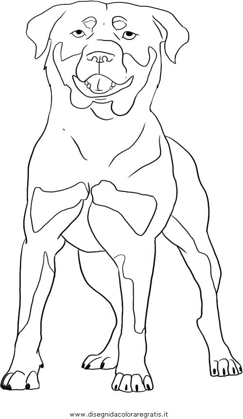 93 Dachshund Dog Coloring Page Printable 82