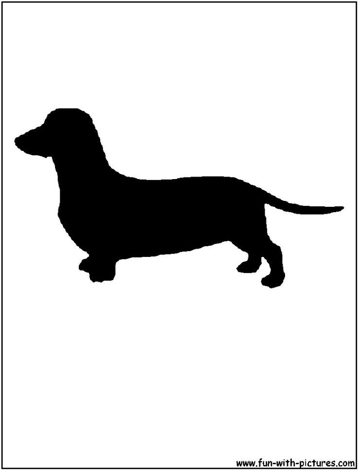 93 Dachshund Dog Coloring Page Printable 83