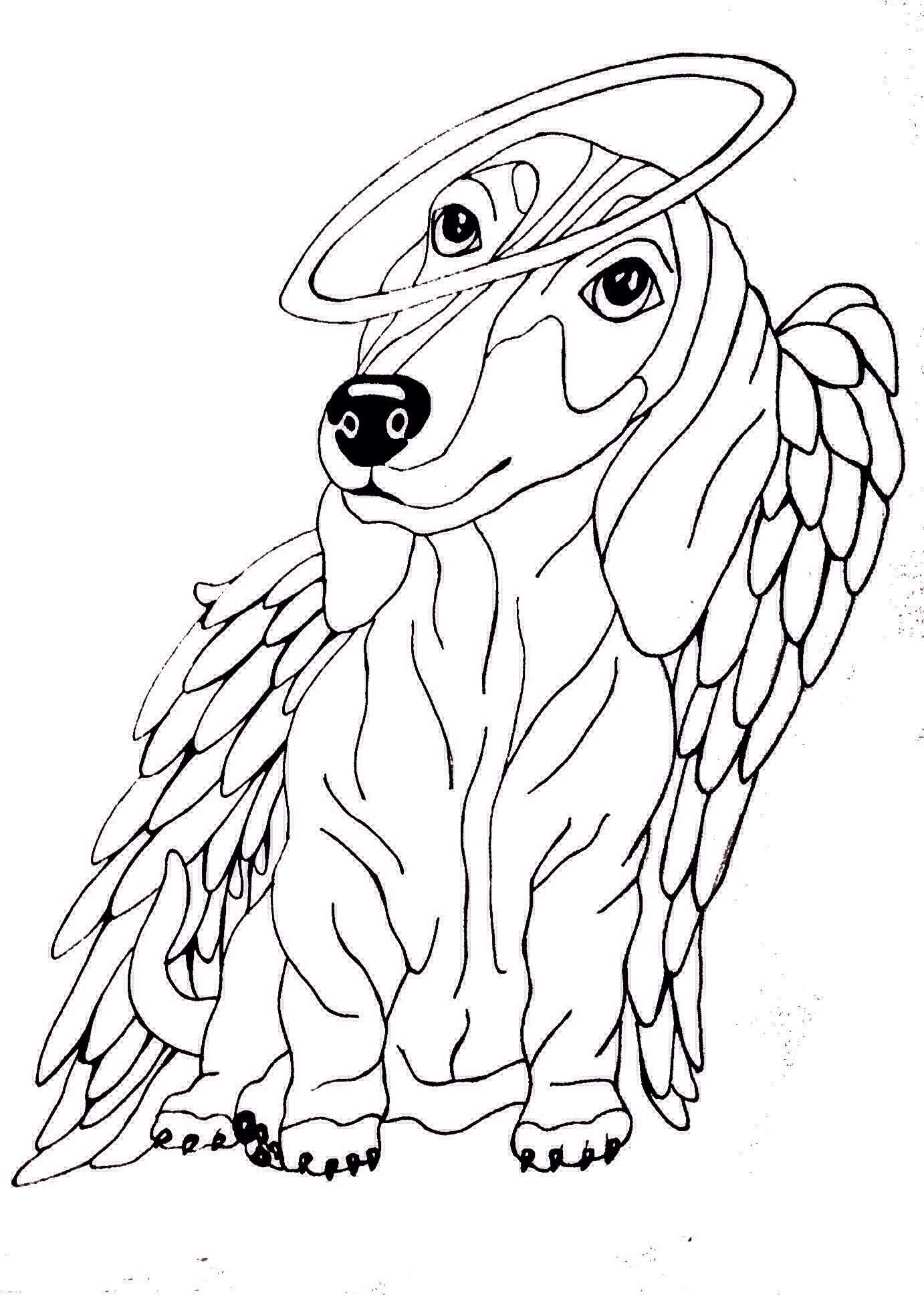 dachshund dog coloring page printable jpg