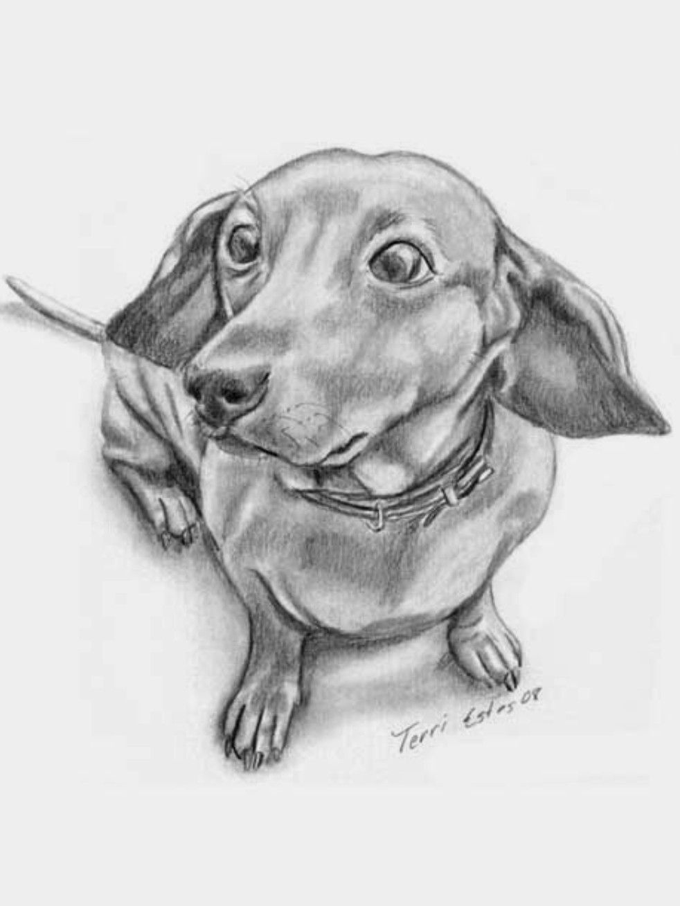 93 Dachshund Dog Coloring Page Printable 92